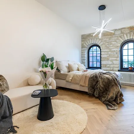 Stylish Loft In Volta Quarter Korter *