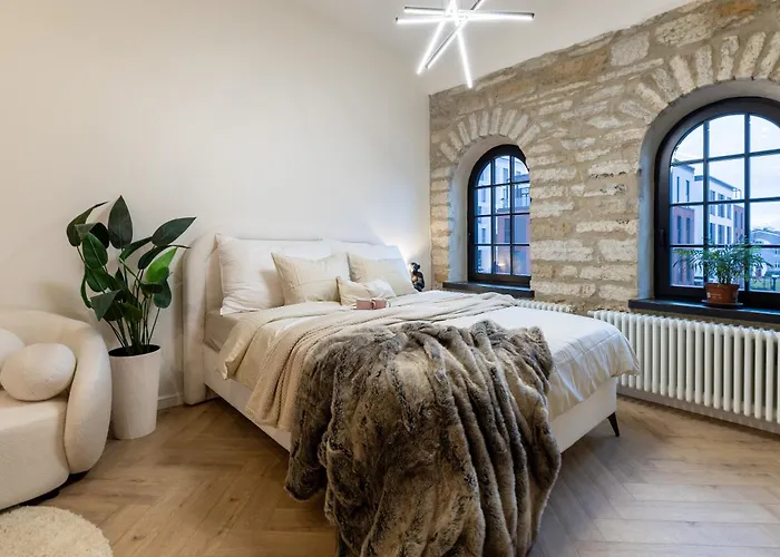 Stylish Loft In Volta Quarter Korter